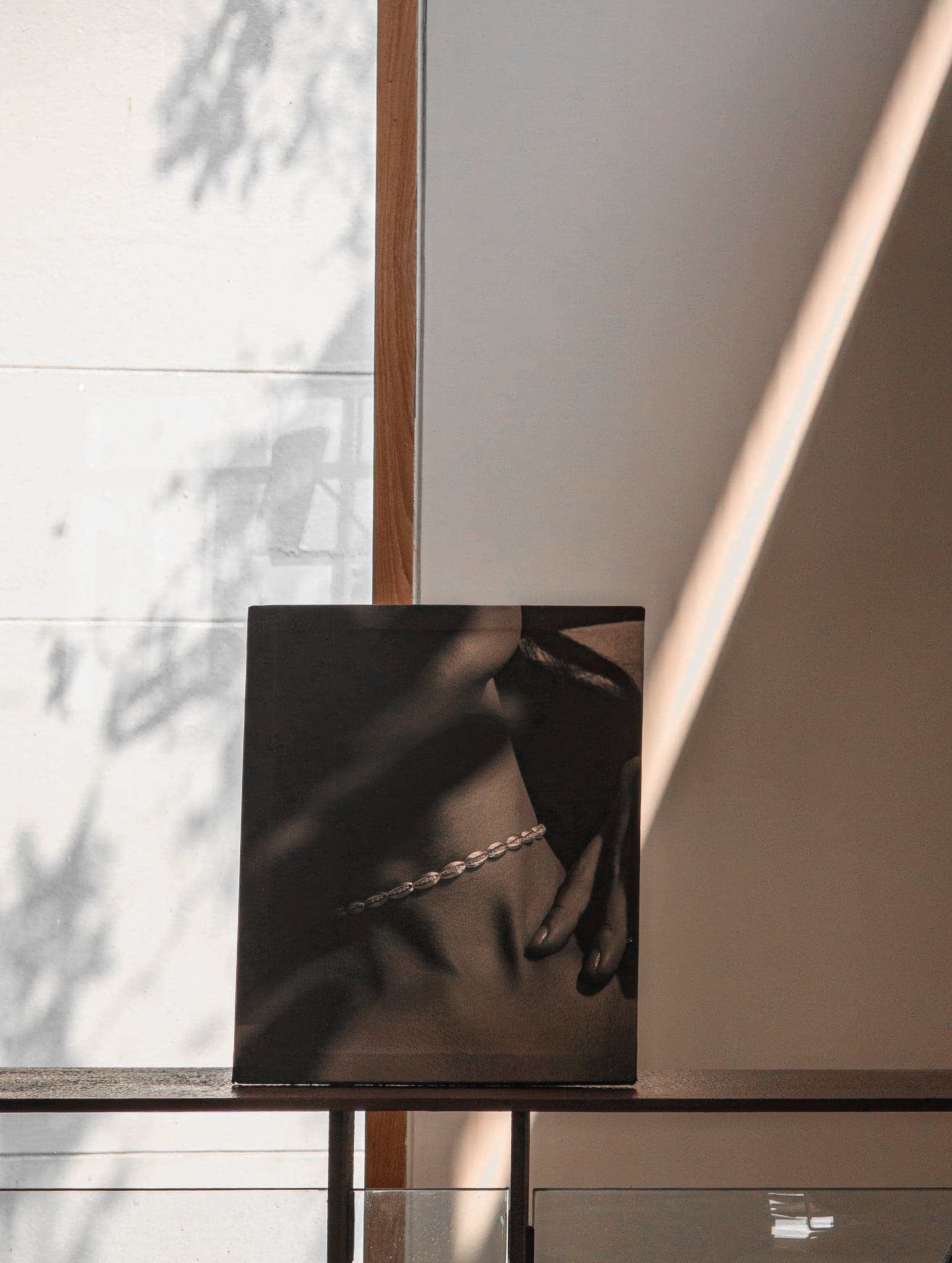 A black-and-white print of a fine jewellery chain, propped on a shelf in dappled afternoon light